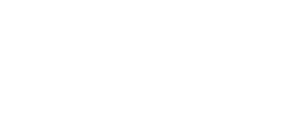 RYUZIN